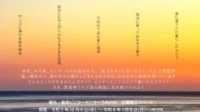 企画展示『漂着物から見る土佐清水の海』