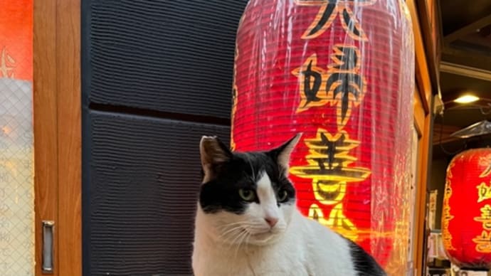 「眠り猫」に秘めた想い