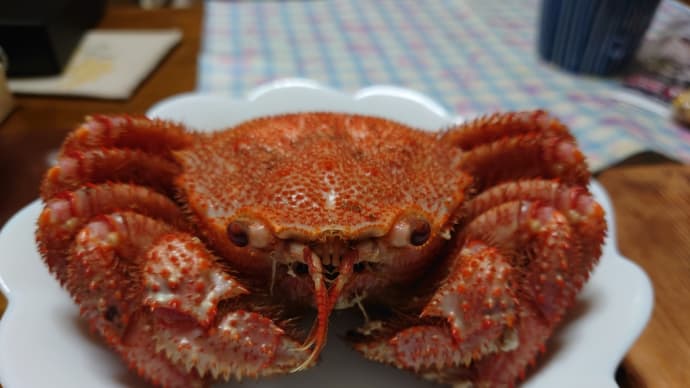 毛蟹