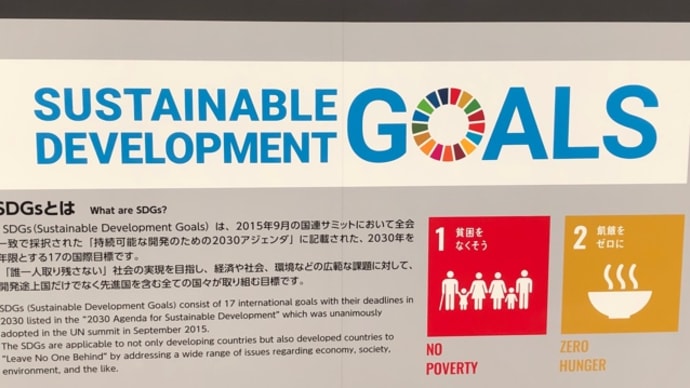ＳＤＧｓのファッション化「なんちゃってＳＤＧｓ」「ＳＤＧｓごっこ」「ＳＤＧｓウォッシュ」本当にあと９年でゴールに到着できるのでしょうか？
