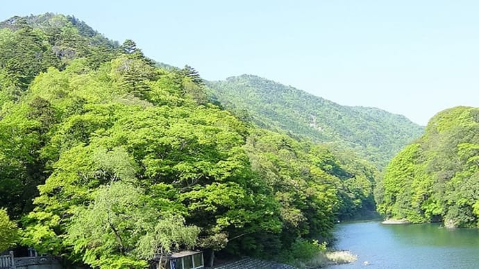 「永源寺こんにゃく」の「こんにゃく工房」(東近江市)