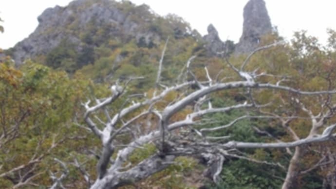 八ヶ岳 赤岳 天狗尾根(岩稜直登ルート)
