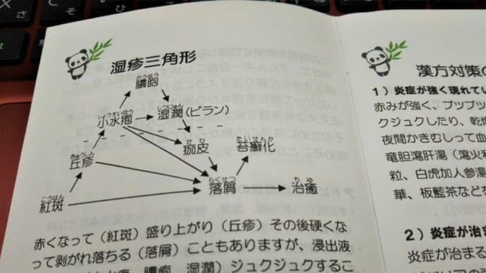 皮膚湿疹の三角形・皮膚トラブルが治る経緯