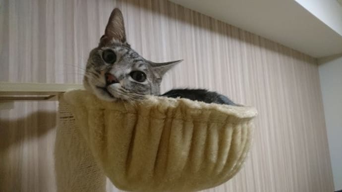 Nさんからの『そら通信』