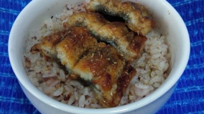 【07/27朝食】鰻蒲焼頭側でミニ鰻丼、午後の買い出しも終了したんだね:D