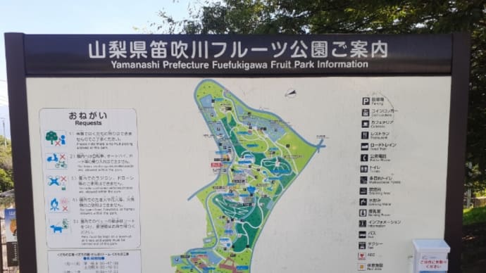 キャンプ 笛吹川フルーツ公園からほったらかし温泉へ