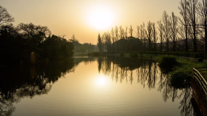 春の水元公園　その5 (朝の風景編)