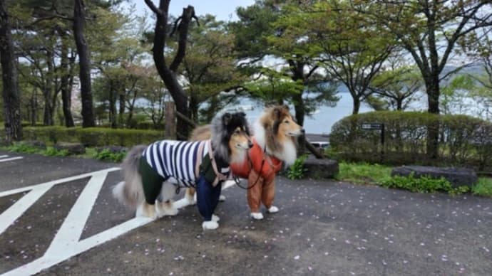 寒い朝でした!