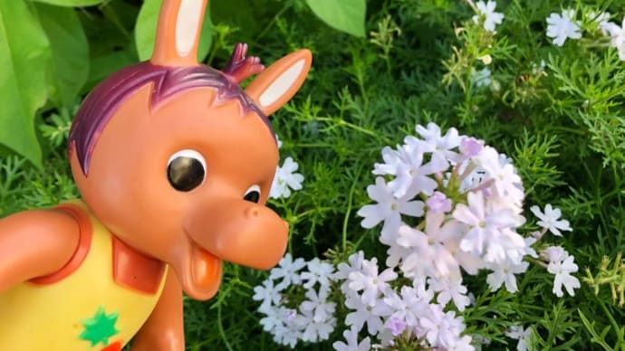 ロバくんと白くて小さなお花