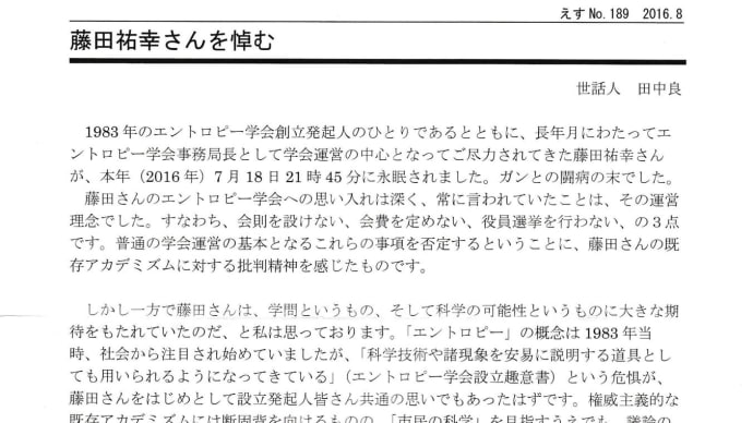 藤田祐幸追悼　エントロピー学会　えす