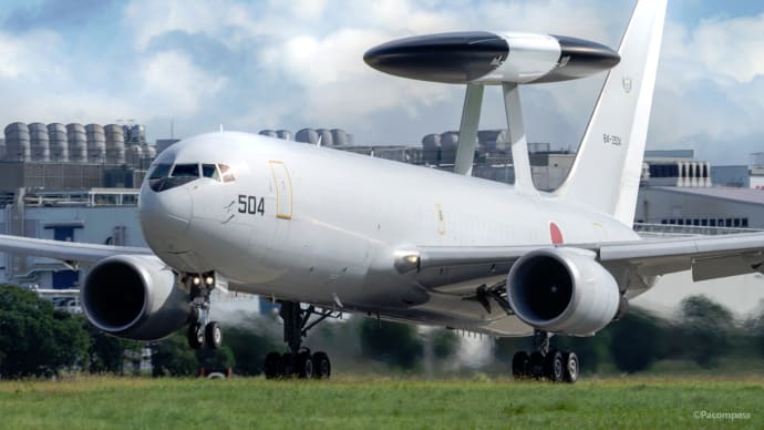 The nest of AWACS.