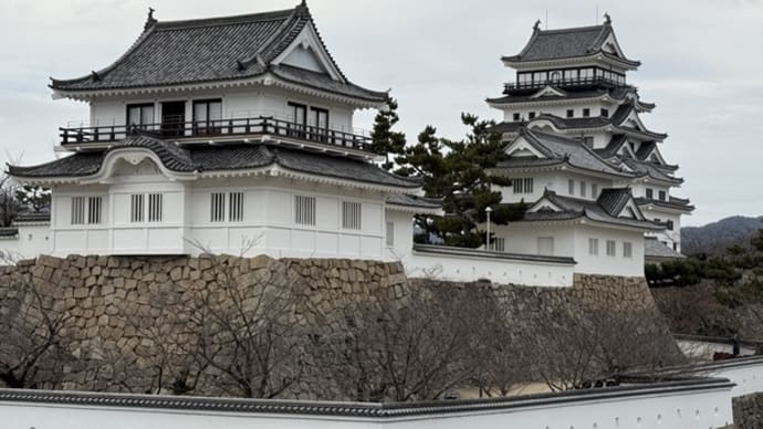 今日いち-2025年1月27日