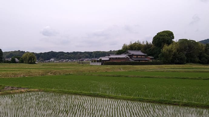 大野木の「中世城館」で歴史を感じる…①「竹島氏館」