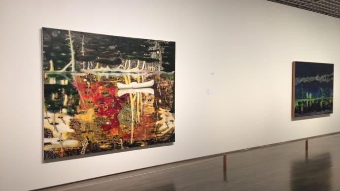 「ピーター・ドイグ展」(東京国立近代美術館)
