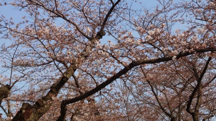 赴任先に行く②