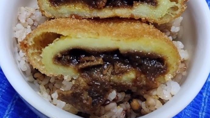 【05/13昼食】もっちもちポテトカレー、お初な品が並んでたのでね:P