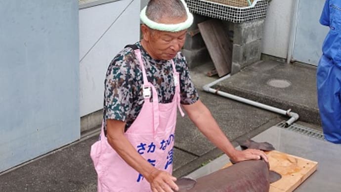 深海おじさんの講演1 サメの解体
