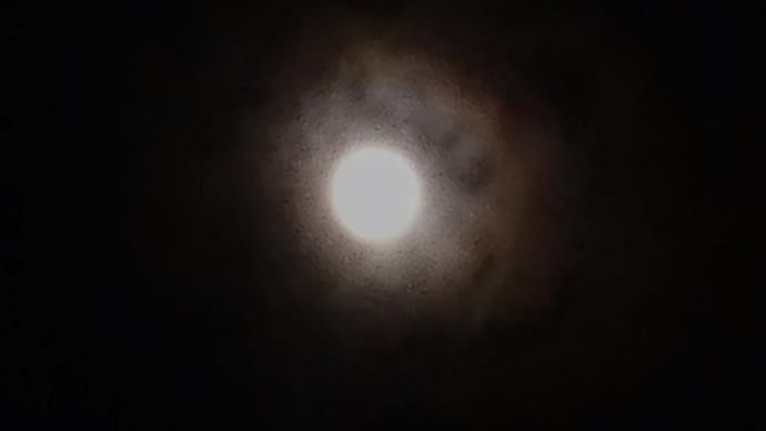 夜空に満月♪