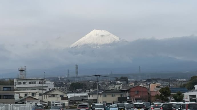 大きな?大根を貰った