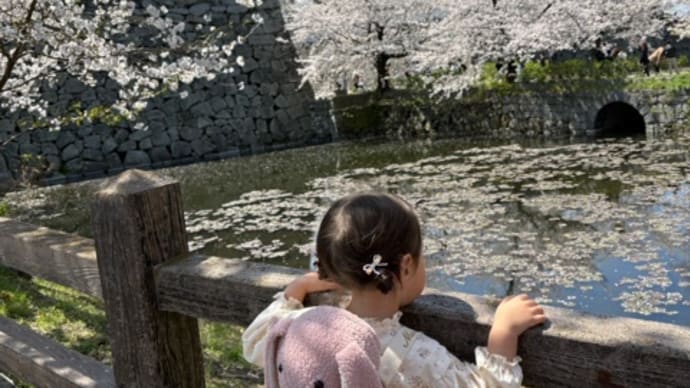 お花見🌸