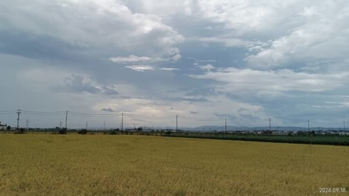 秋のお彼岸前日