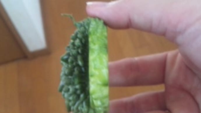 モスラ捕獲