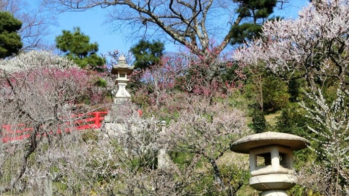 今日は「中山寺梅林」へ行きました