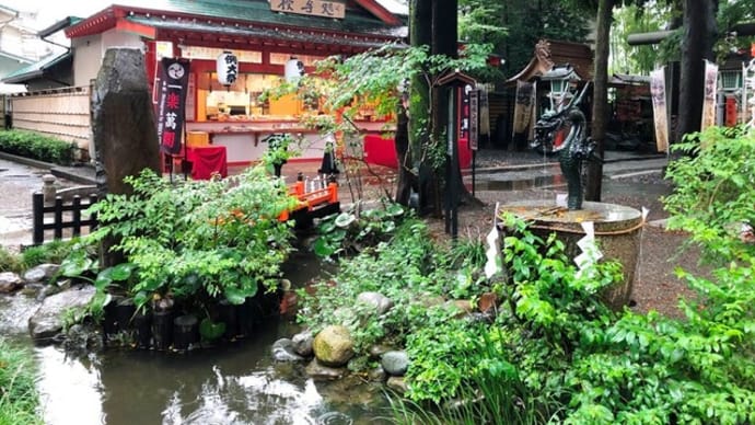 田無神社へ🐉⛩🐤