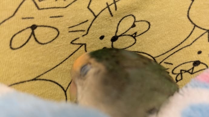 まだまだ楽しい事は待っている😌🍀