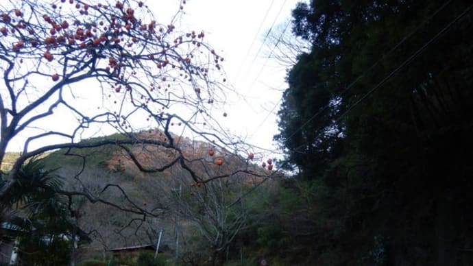 テーマのある山歩き⑥富士見の道