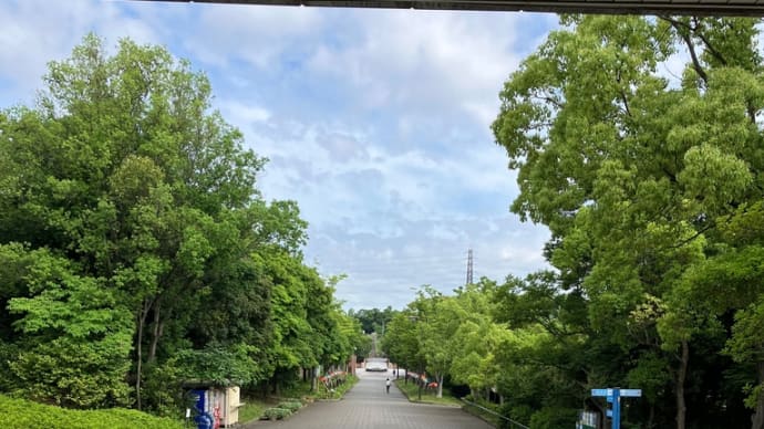 寝屋川公園実習