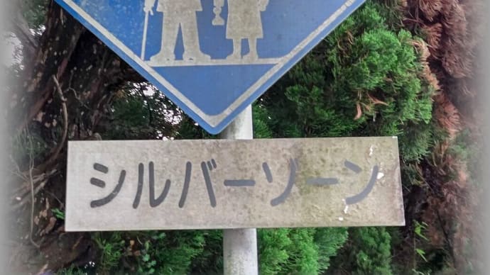 (五島弁・番外編・時事とか余話)とっしょれ シルバー民主主義