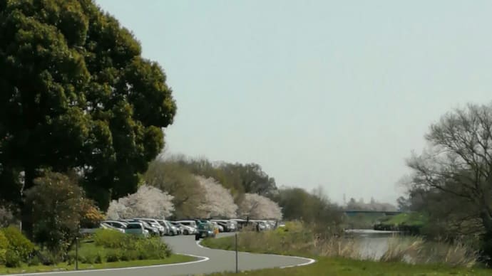 群馬の水郷　板倉町のショット