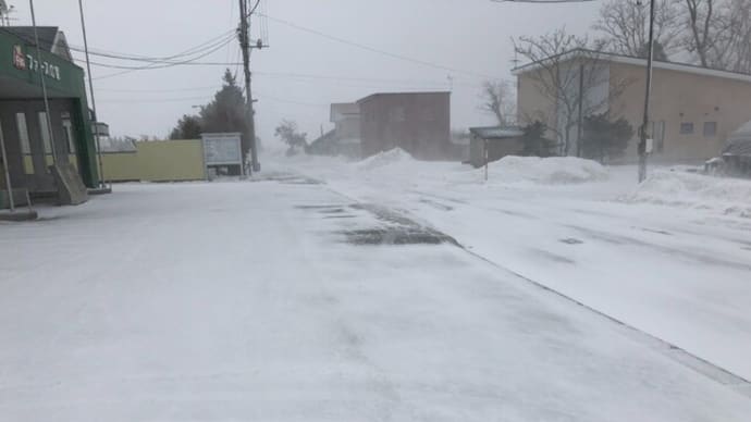 数年に一度の猛吹雪