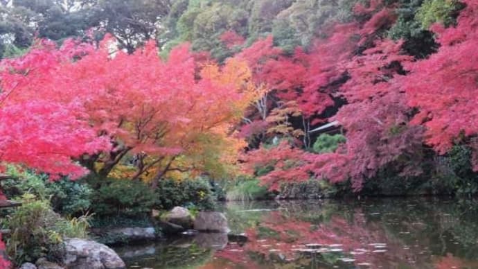 下関市「長府庭園」紅葉⑥＆トラちゃん！ミコちゃん！懐かしい画像ですね(#^^#)