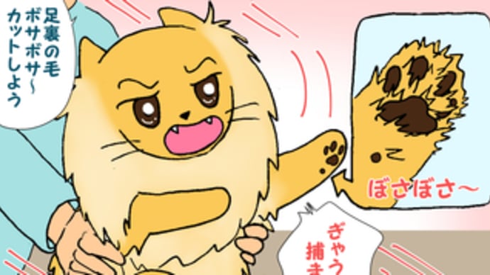 足裏ボサボサ～