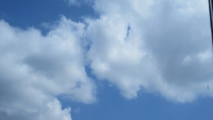 6月は何とも忙しいこっちゃ
