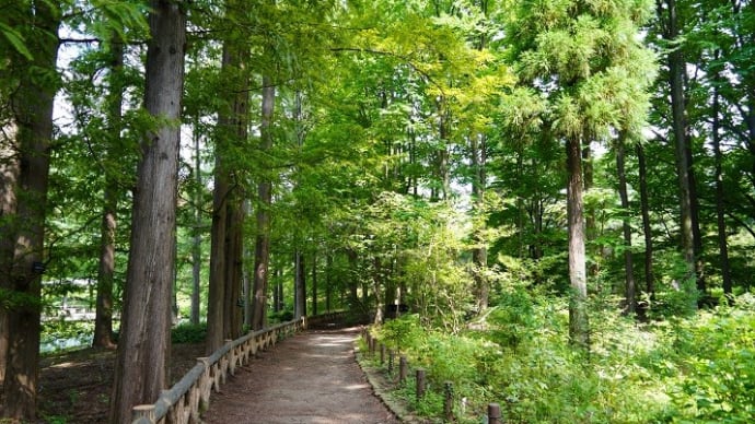 熱中症になりやすい人の特徴、その対策のために必要な栄養素、私は学び、多々教示させられて・・。