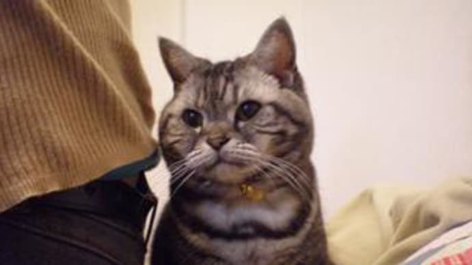 まとわり中