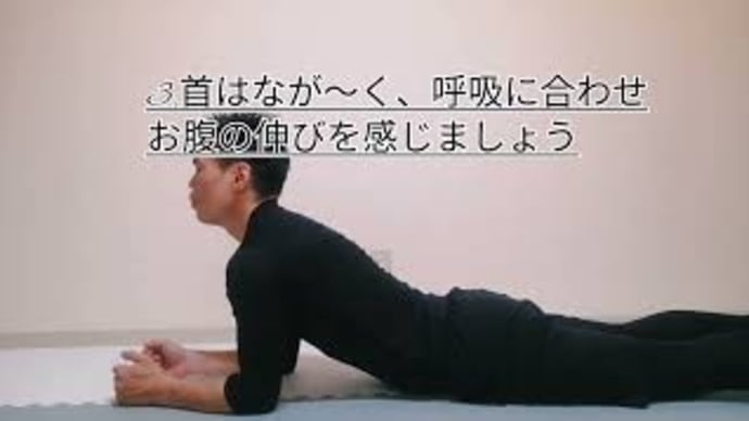 テレビ観ながらちょっとイイこと。お腹編