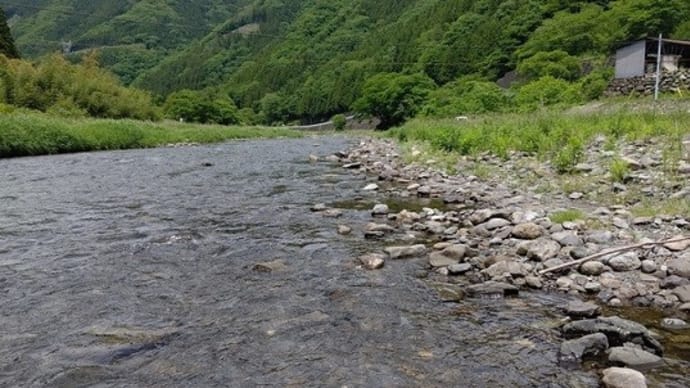 上野村漁協調査&試し釣り!にいってきました。