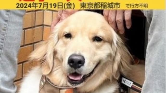 迷子お願いします。