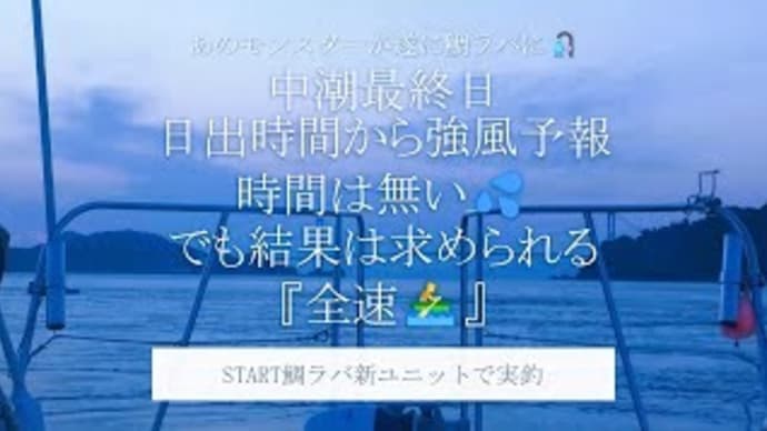 START鯛ラバ新ユニットで実釣🎣強風なる前に釣果を求めて短時間釣行