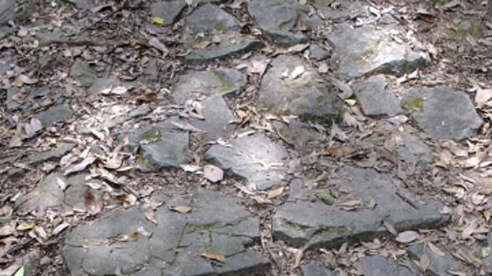春の城攻め ③-5 登城の道