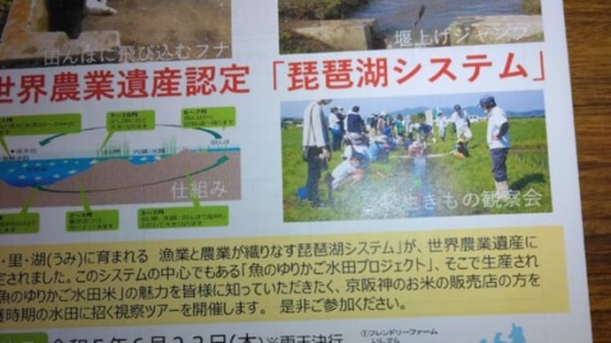 魚のゆりかご水田