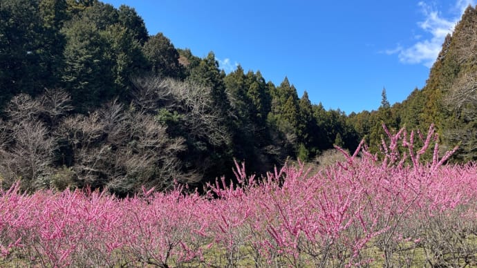 315🍁【わりと好き】🌹