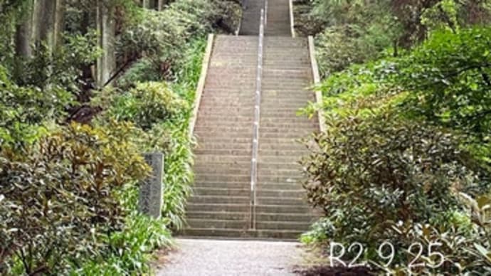 日本一の石段
