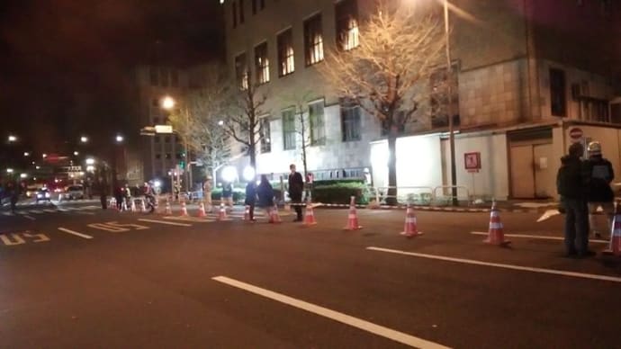 イチョウが伐られます!