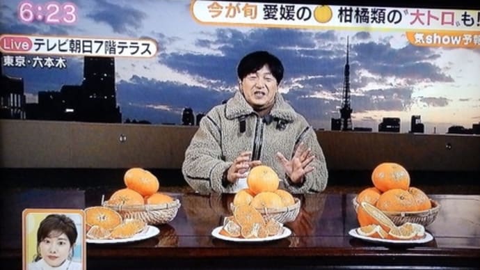 愛媛の柑橘類