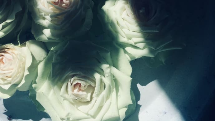 薔薇風呂